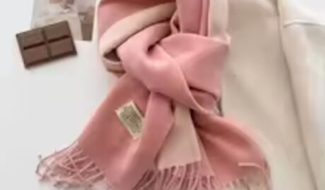 Fashion Solid Cashmere Warm Scarf New Design Pashmina Winter Double Side Diffrent Color Shawl Wraps Bufanda with Tassel Blanket